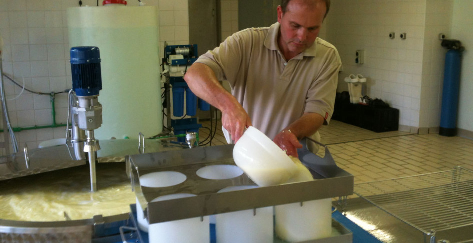 Hand moulding the cheese 1