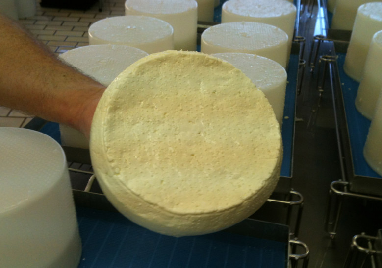 Hand moulding the cheese 2